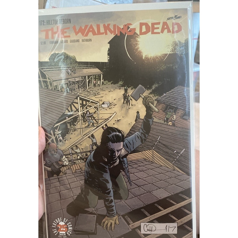 The Walking Dead #172‎ NM Image Comic Book Zombies Rick Miccone  4 RC24